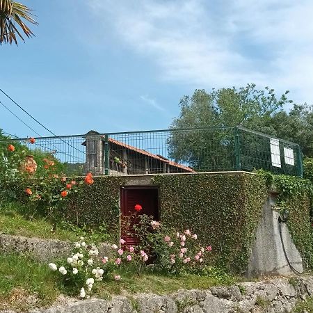 ヴィエイラ・ド・ミーニョ Quinta Da Penelaゲストハウス エクステリア 写真