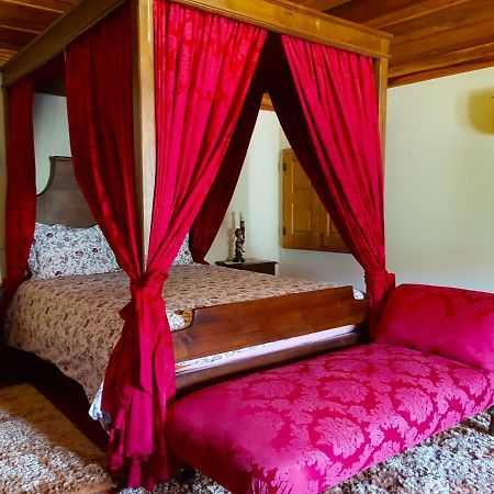 ヴィエイラ・ド・ミーニョ Quinta Da Penelaゲストハウス エクステリア 写真
