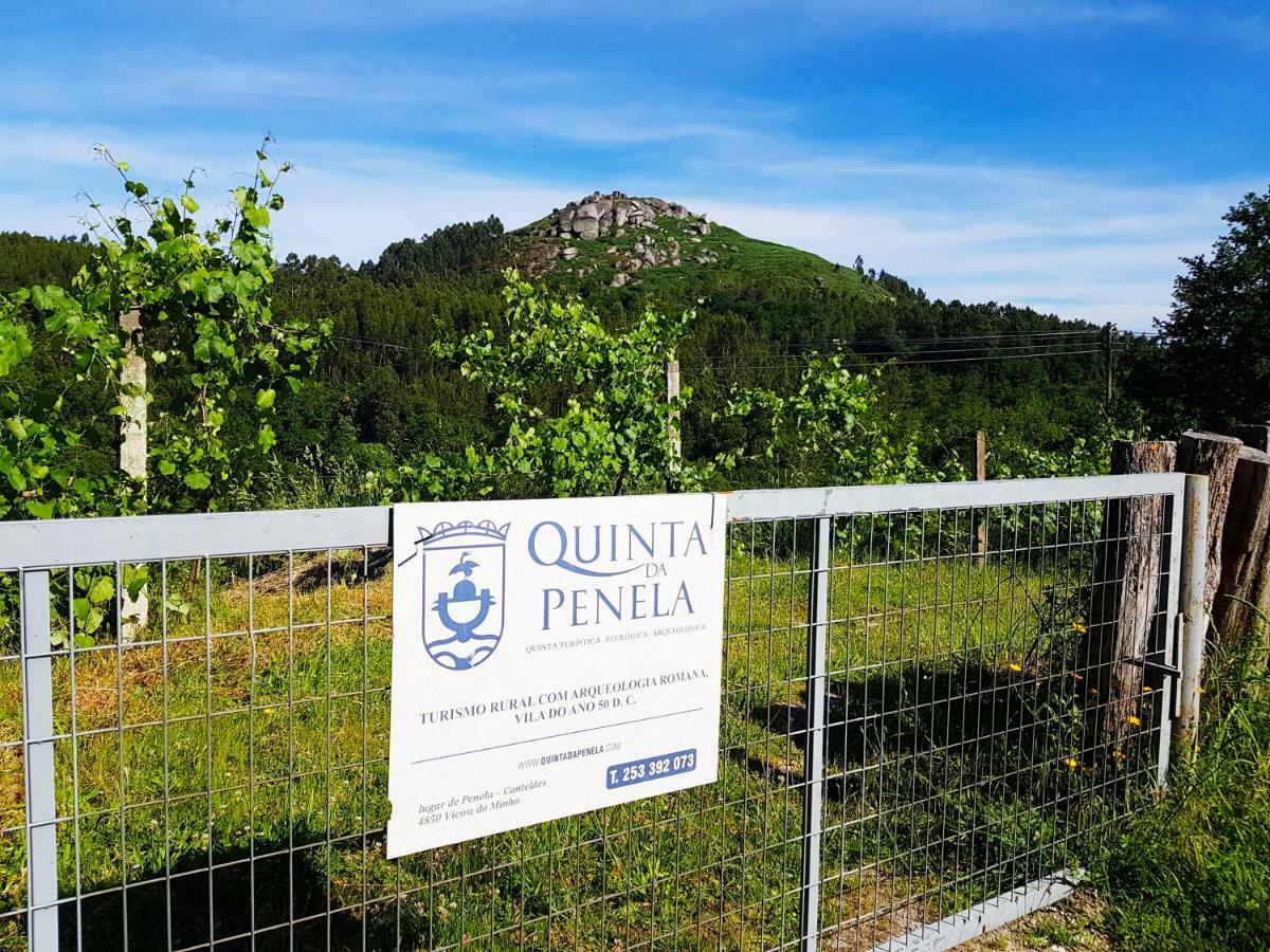 ヴィエイラ・ド・ミーニョ Quinta Da Penelaゲストハウス エクステリア 写真