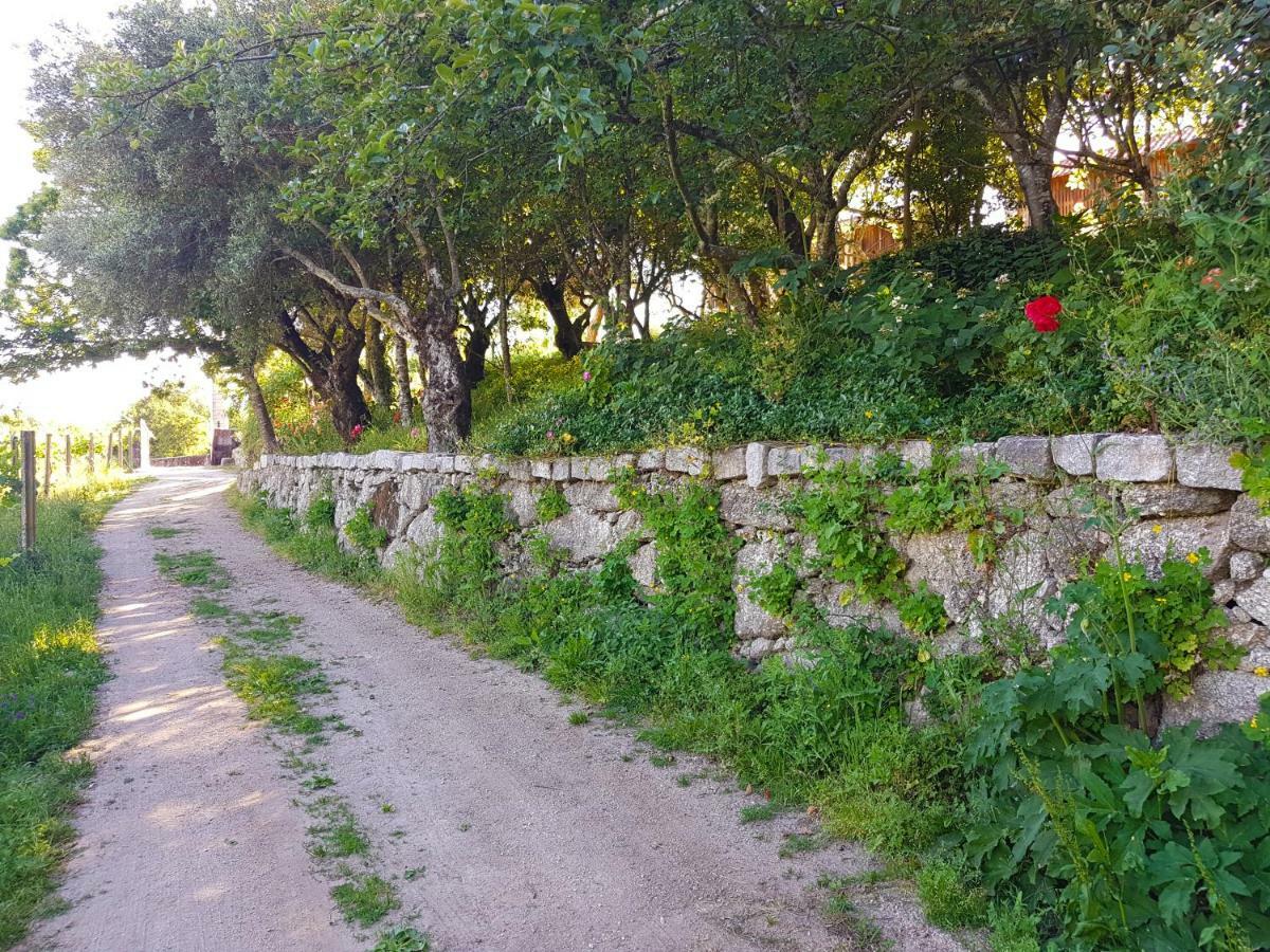 ヴィエイラ・ド・ミーニョ Quinta Da Penelaゲストハウス エクステリア 写真