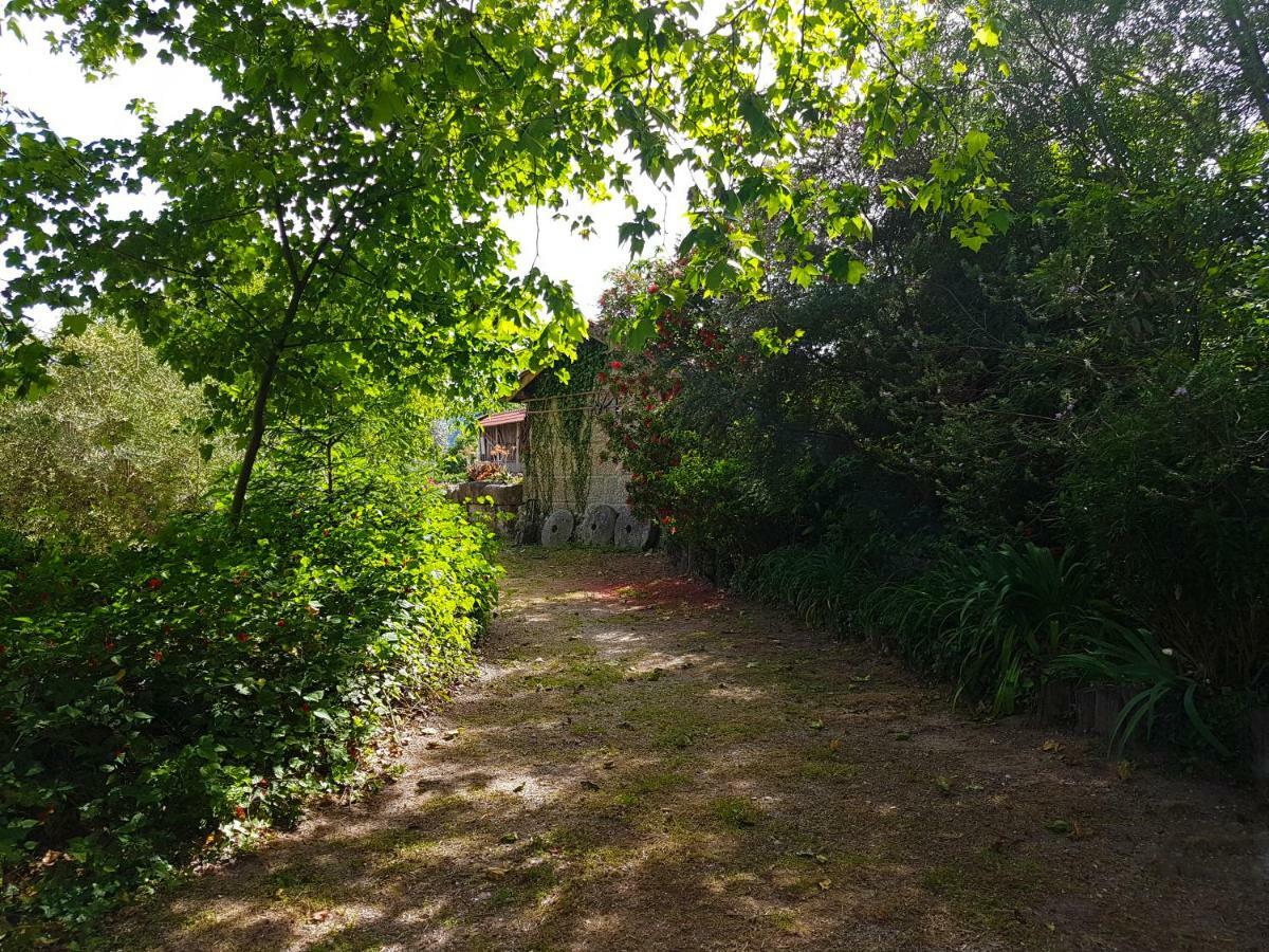 ヴィエイラ・ド・ミーニョ Quinta Da Penelaゲストハウス エクステリア 写真